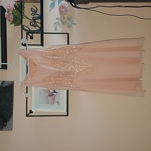 Blush Midi Dress